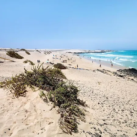 Baobab Corralejo