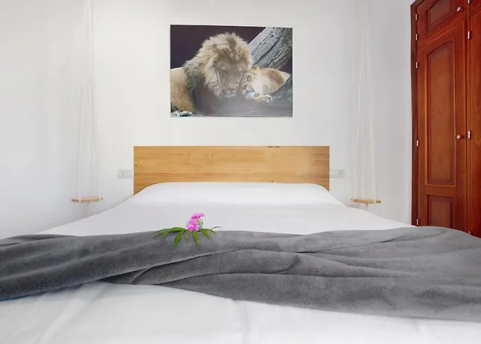 Baobab 别墅 科拉雷侯